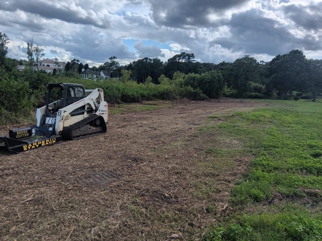 land clearing apopka fl