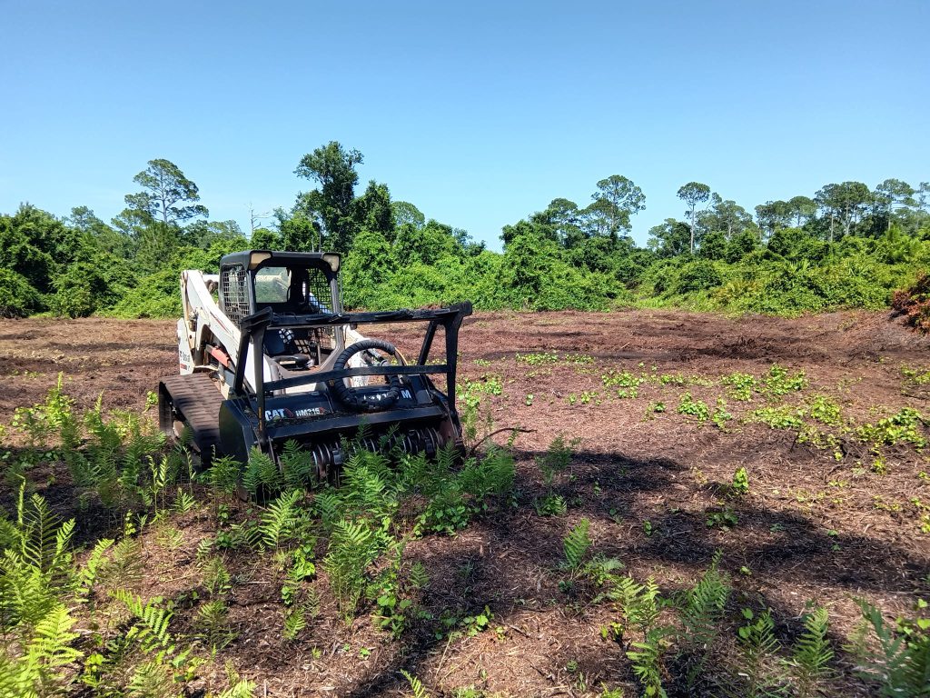 quality land clearing & forestry mulching apopka fl being done