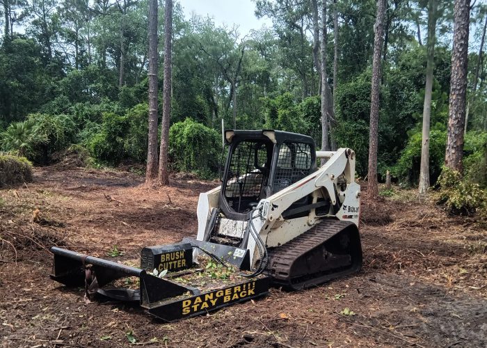 acl land clearing photo